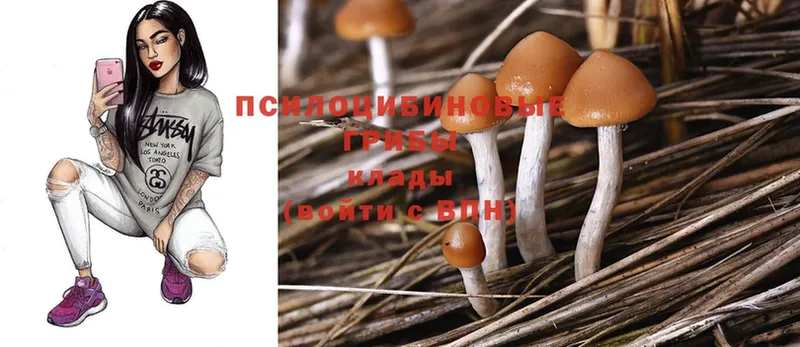 Псилоцибиновые грибы Psilocybe  kraken ONION  Знаменск 